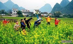 2016年国内旅游总收入3.9万亿元
