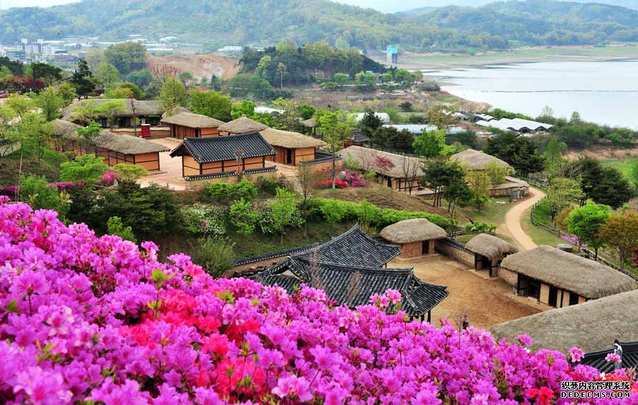 村官们的新年旅游愿景 ——再访乡村旅游扶贫重点村村官培训班学员