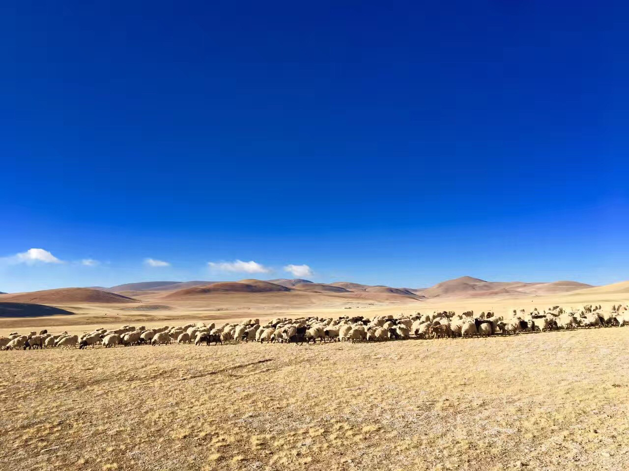 https://mmbiz.qlogo.cn/mmbiz_jpg/YTpdicR9dZhs5F9YiapZW89yIIKkP3rgBqG24emYMXXk0yxhs3ibqfrltRQFJut1PIzBMcBHyOm2A8p3GZ6Xumn0g/0?wx_fmt=jpeg