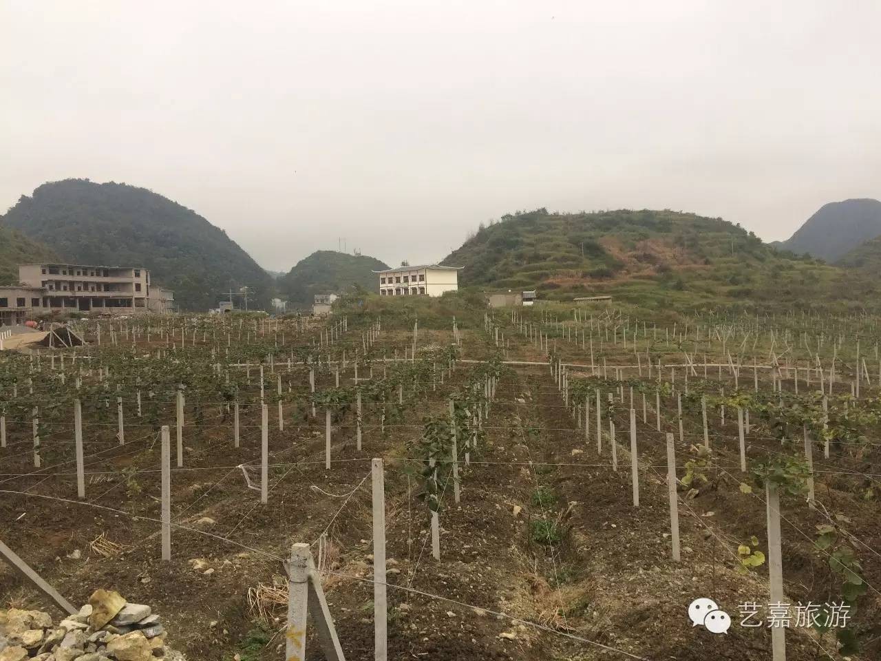 https://mmbiz.qlogo.cn/mmbiz_jpg/YTpdicR9dZhuj3icicQwmWj13icksZtDk4Qjy4oTtCQvTlkb9iaJMafiaIic2XlbzNmxraWIXYABWHJYBULODDIlcnLDQ/0?wx_fmt=jpeg